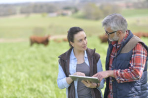 Agricultrice et agriculteur consultant une tablette dans un champ