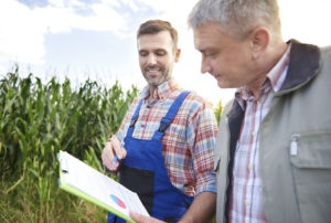 Agriculteurs consultant des données dans un champ