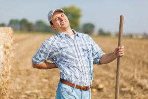 Agriculteur souffrant du dos pendant la moisson de son champ